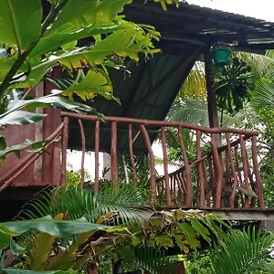 Sigiri Panaromic Tree House Gospodarstwo agroturystyczne