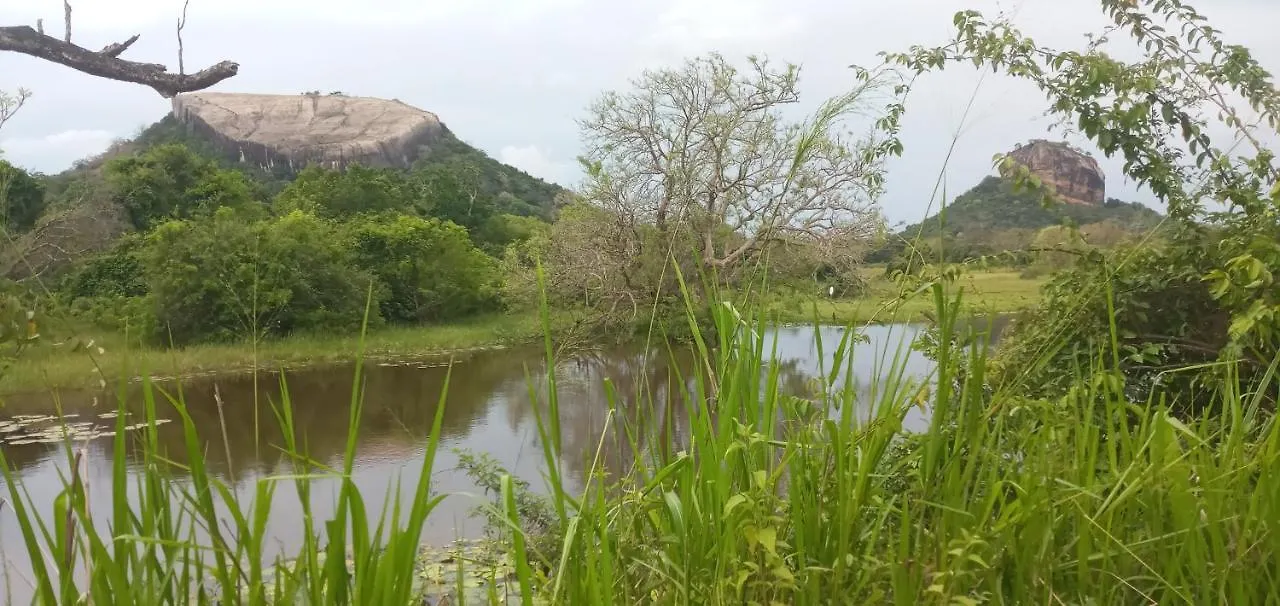 Rock Lake Home Stay Sigiriya