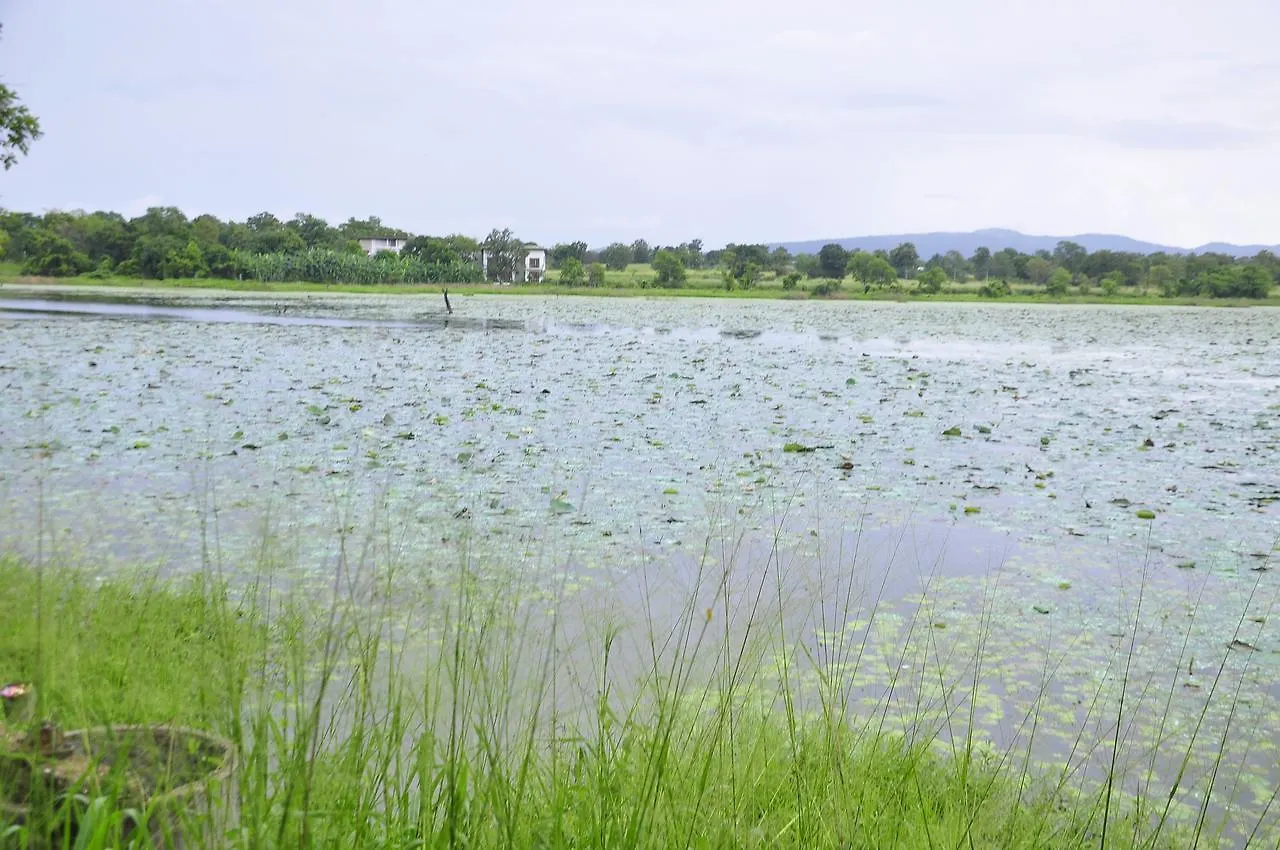 Alloggio in famiglia Rock Lake Home Stay Sigiriya Sri Lanka