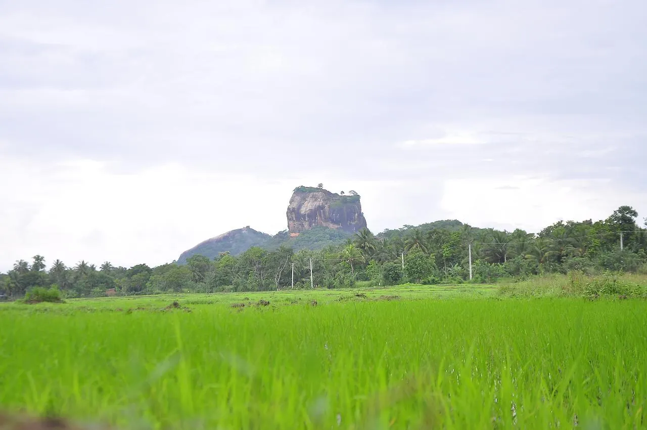 Rock Lake Home Stay Sigiriya