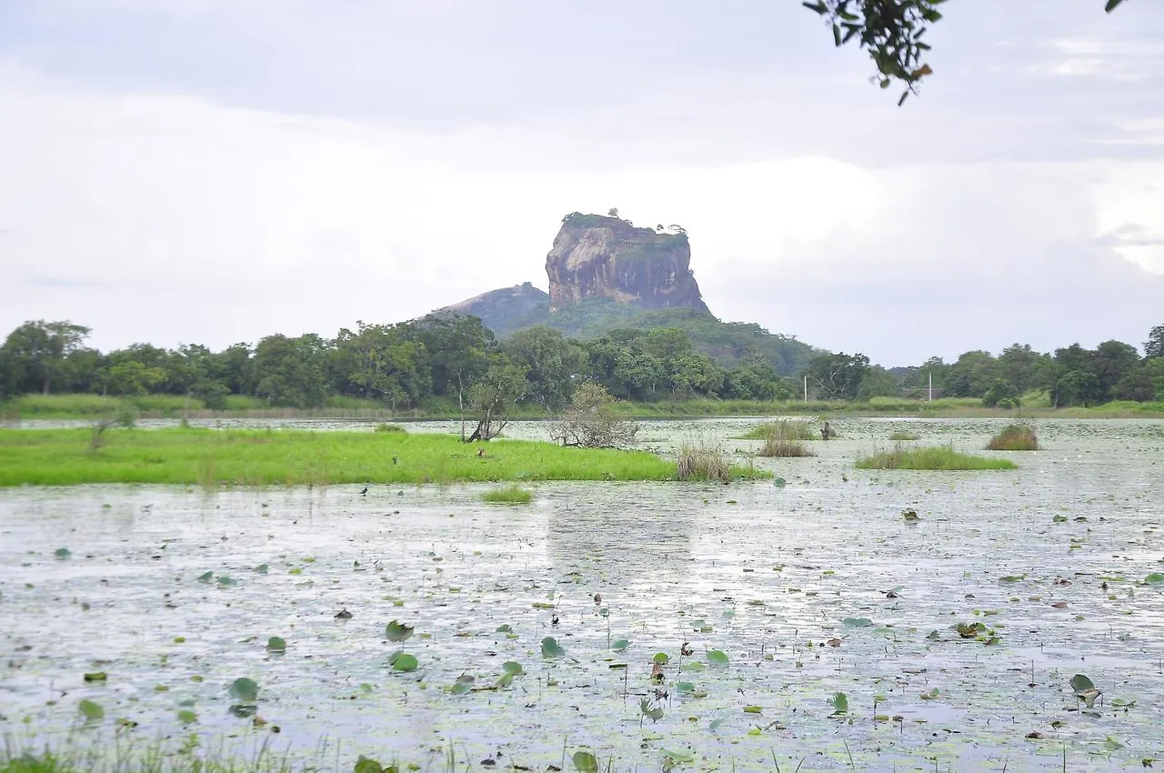 Rock Lake Home Stay Sigiriya Sri Lanka